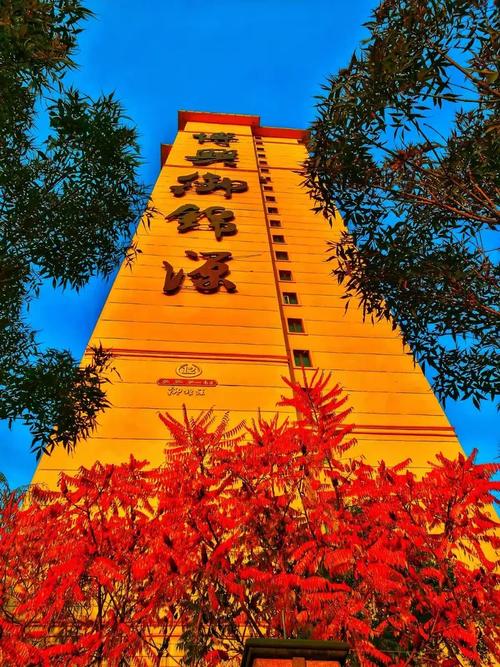 御锦源秋色如画，金御满园——一场与金色时光的私语